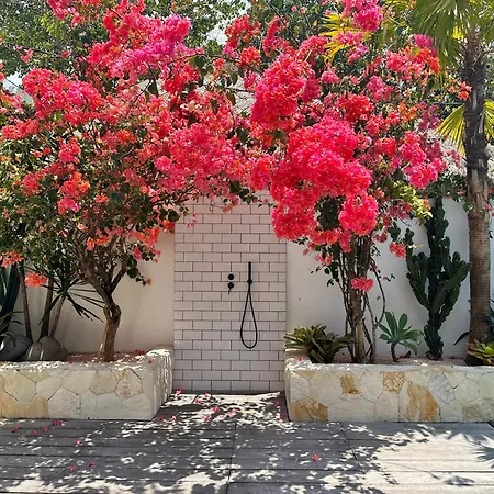The Young Villas - Uluwatu Exterior photo